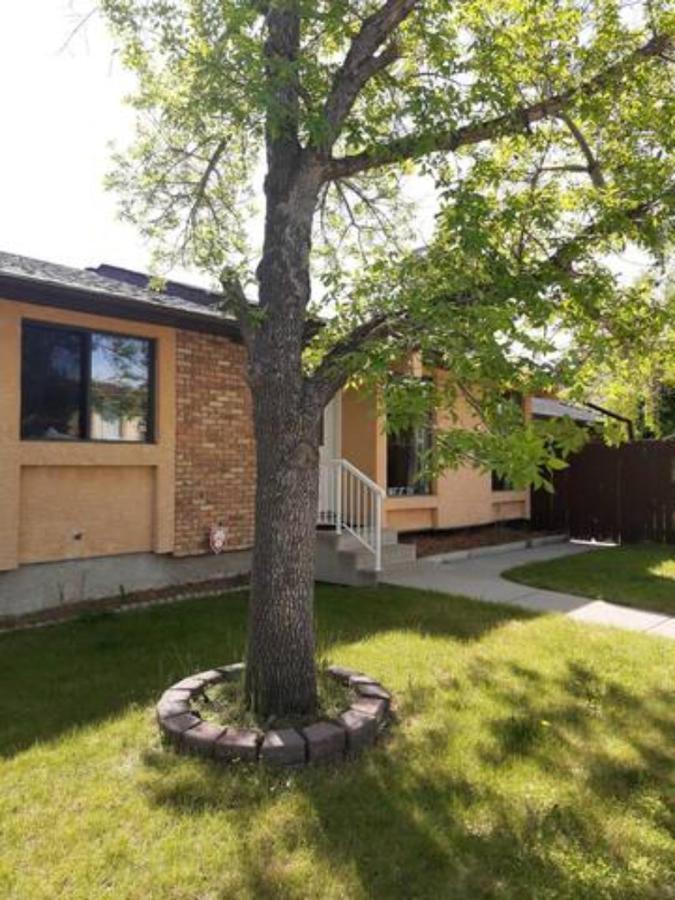 Cozy Home With Comfortable Beds And Fully Equipped Kitchen 15 Mins Drive From Airport, Downtown, Sait And U Of C And 80 Min Drive To Banff YYC 외부 사진